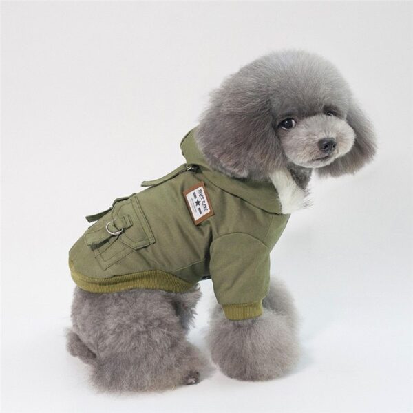 Cap dog coat - Image 2